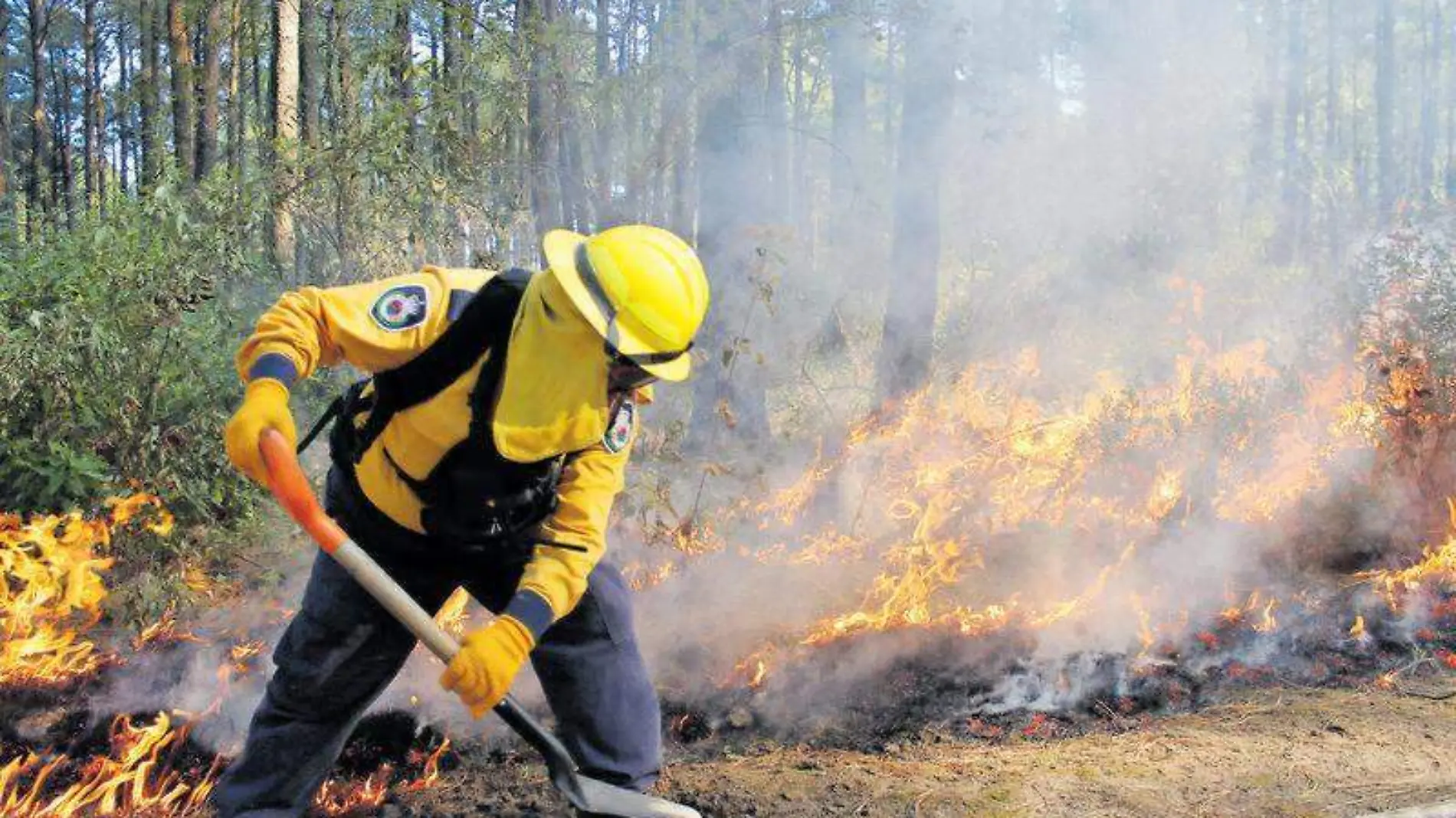 incendios forestales (2)